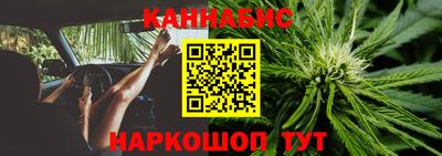 стафф Краснодар