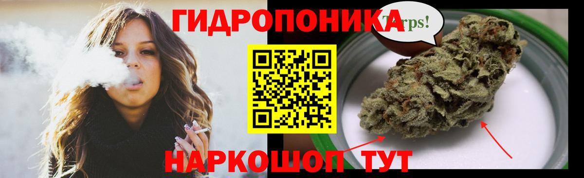 Шишки марихуана AK-47  Вход с VPN  Канабис семена  Каннабис ГИДРОПОН  Камышлов 